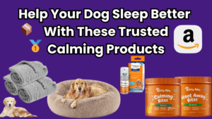 Best Calming Products for Dogs: What Really Works to Help Your Dog Sleep Better