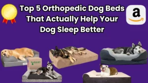 Top 5 Orthopedic Dog Beds That Actually Help Your Dog Sleep Better