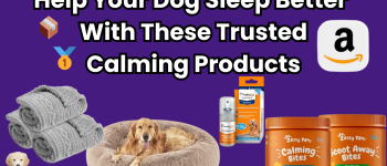 Best Calming Products for Dogs: What Really Works to Help Your Dog Sleep Better