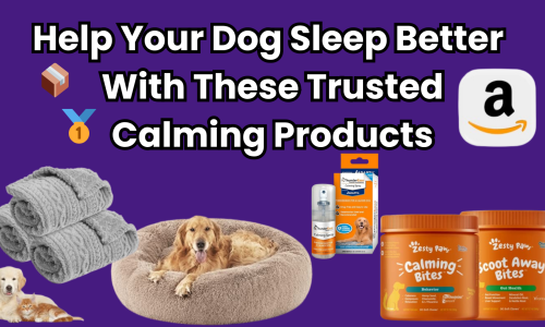Best Calming Products for Dogs: What Really Works to Help Your Dog Sleep Better