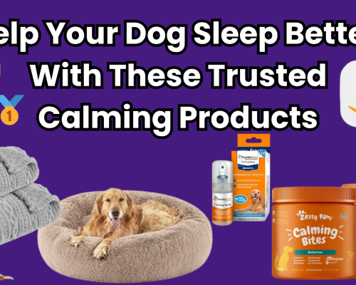 Best Calming Products for Dogs: What Really Works to Help Your Dog Sleep Better