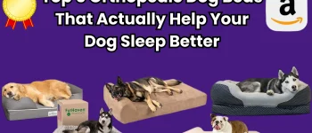 Top 5 Orthopedic Dog Beds That Actually Help Your Dog Sleep Better