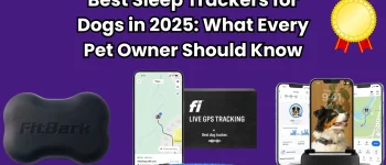 Best Sleep Trackers for Dogs in 2025: What Every Pet Owner Should Know