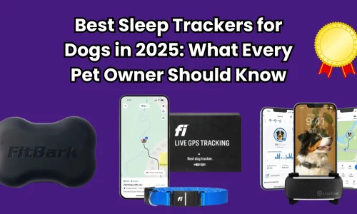 Best Sleep Trackers for Dogs in 2025: What Every Pet Owner Should Know