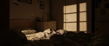 Work Stress and Sleep Disruption: How Your Job Could Be Ruining Your Rest