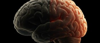 Treating Sleep Apnea Reverses Brain Damage: A Look at the Science