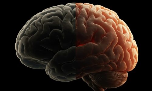 Treating Sleep Apnea Reverses Brain Damage: A Look at the Science