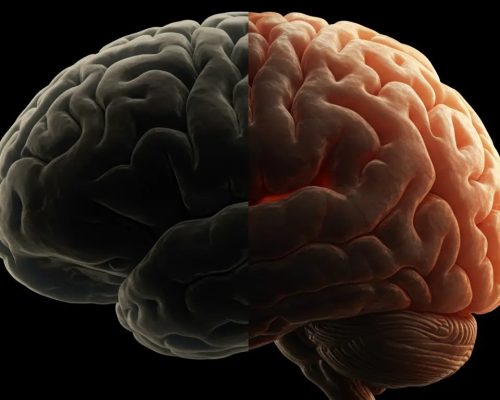 Treating Sleep Apnea Reverses Brain Damage: A Look at the Science